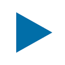 Payline logo